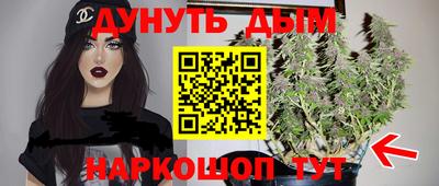 дурь Камышлов